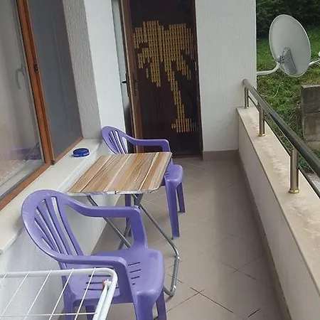 топалов Apartment